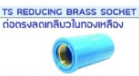 ต่อตรงลด PVC เกลียวในทองเหลือง ตรา CK ราคาต่อ 1 กล่อง ต่อตรงลด PVC เกลียวในทองเหลือง ตรา CK ราคาต่อ 1 กล่อง