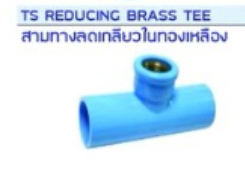 สามทางลด PVC เกลียวในทองเหลือง ตรา CK ราคาต่อ 1 กล่อง สามทางลด PVC เกลียวในทองเหลือง ตรา CK ราคาต่อ 1 กล่อง