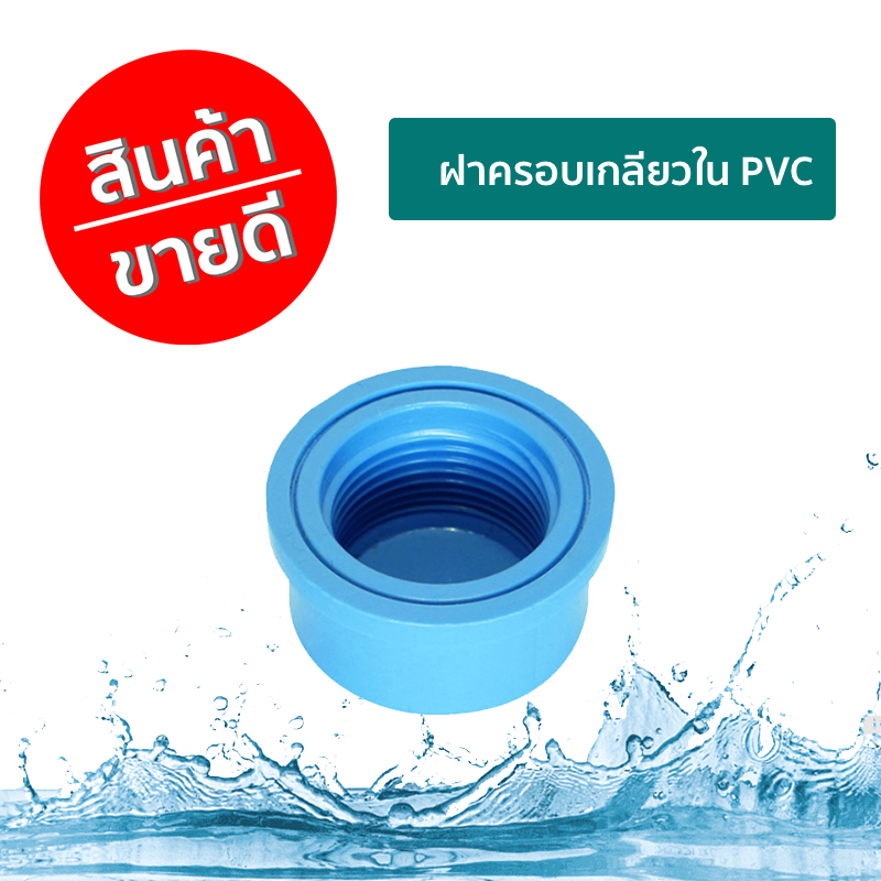 ฝาครอบเกลียวใน PVC DTOR ราคาต่อ 1กล่อง ฝาครอบเกลียวใน PVC DTOR ราคาต่อ 1กล่อง