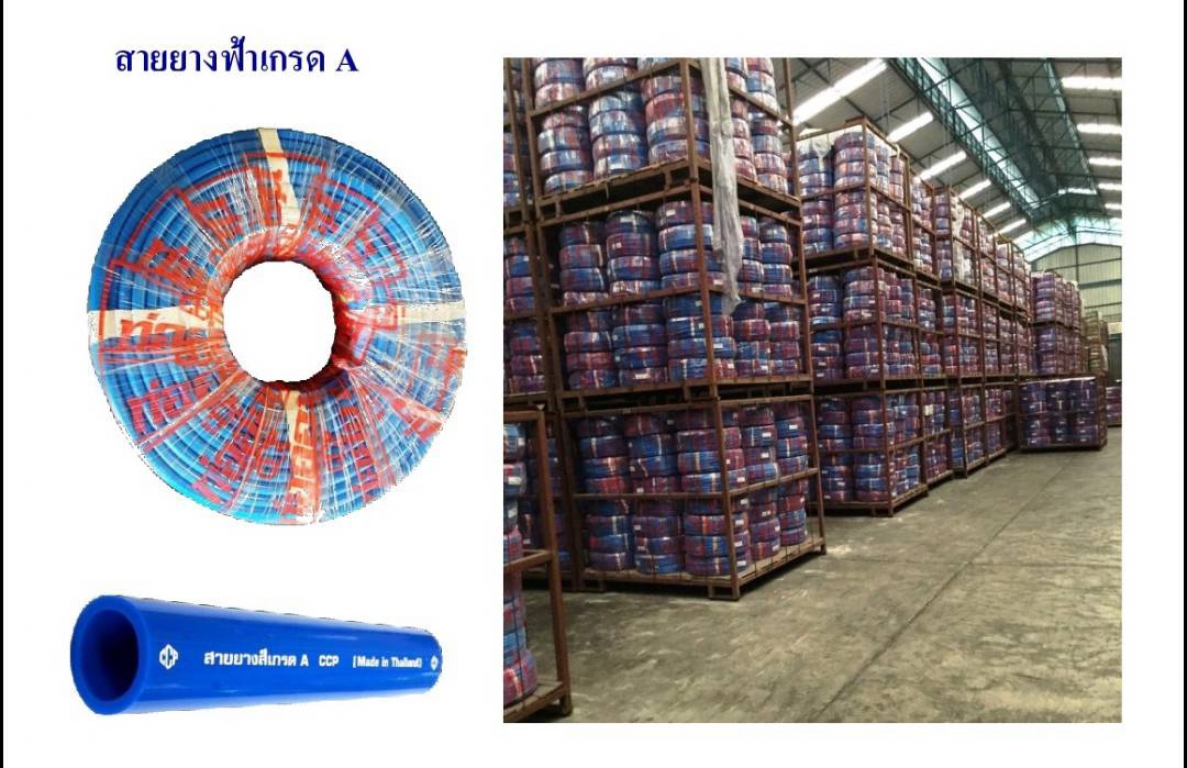 สายยางสีฟ่า เกรด A ยี่ห้อ CCP ความยาว 100 เมตร สายยางสีฟ่า เกรด A ยี่ห้อ CCP ความยาว 100 เมตร