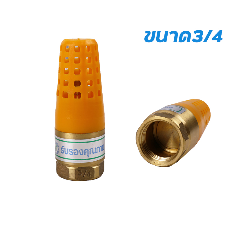 ฟุตวาล์วสปริง ทองเหลือง ตะแกรงพลาสติก รุ่น BVL ขนาด 3/4\ ฟุตวาล์วสปริง ทองเหลือง ตะแกรงพลาสติก รุ่น BVL ขนาด 3/4\