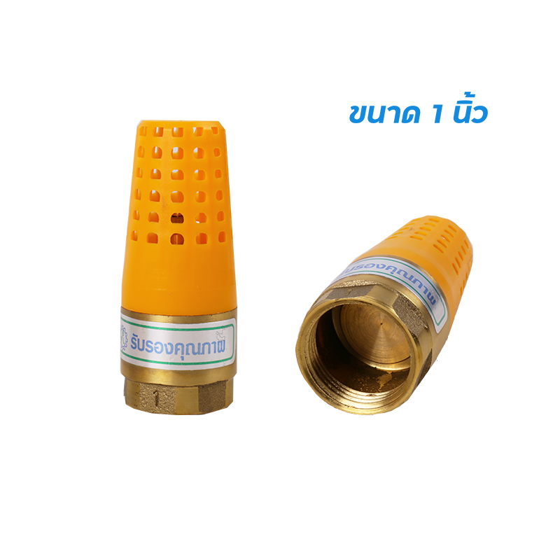 ฟุตวาล์วสปริง ทองเหลือง ตะแกรงพลาสติก รุ่น BVL ขนาด 1 นิ้ว ราคาต่อ 12 อัน ฟุตวาล์วสปริง ทองเหลือง ตะแกรงพลาสติก รุ่น BVL ขนาด 1 นิ้ว ราคาต่อ 12 อัน
