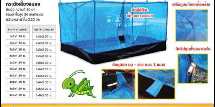 กระชังเลี้ยงแมลง กระชังเลี้ยงแมลง