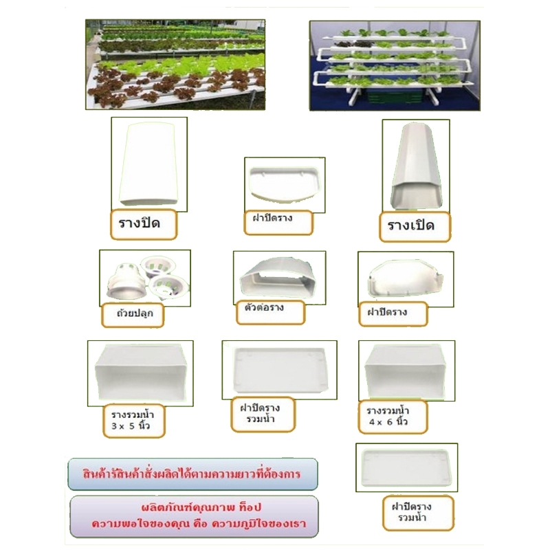 รางปลูกผักไฮโดรโปนิกส์ รางปลูกผักไฮโดรโปนิกส์