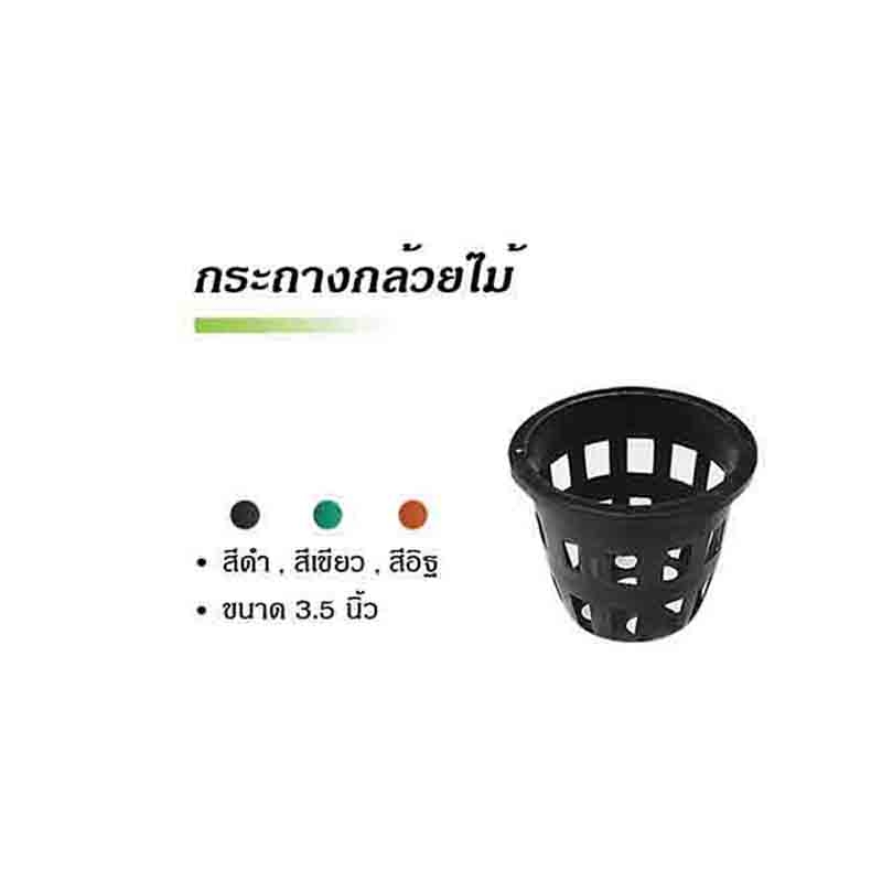 กระถางต้นไม้พลาสติก กระถางกล้วยไม้ ราคา / ใบ กระถางต้นไม้พลาสติก กระถางกล้วยไม้ ราคา / ใบ