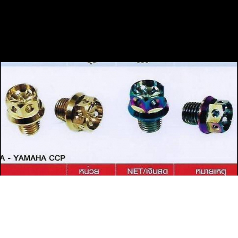 น๊อตอุดรูกระจก-หัวเจาะ (สแตนเลส) HONDA - YAMAHA CCP น๊อตอุดรูกระจก-หัวเจาะ (สแตนเลส) HONDA - YAMAHA CCP