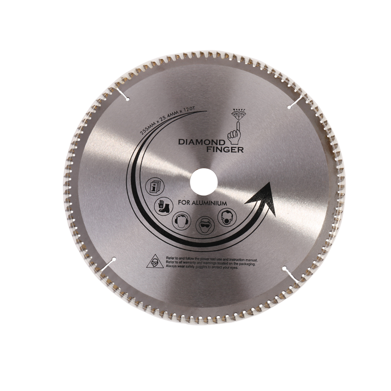 ใบวงเดือน (10\ ใบวงเดือน (10\