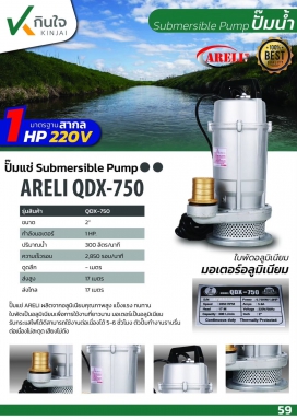 ปั๊มแช่QDX - 750W ขนาด 2นิ้ว ARELI Japan technology AP-1