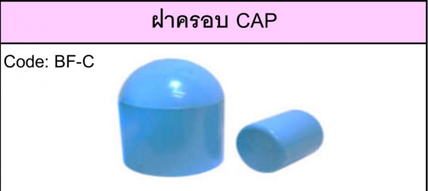 ฝาครอบ มิติ13.5 ตามมาตรฐาน มอก. ยีห้อ BF ราคาต่อ 1 กล่อง