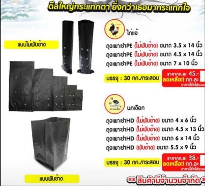 ถุงเพาะชำ PE และ HD ไม่พับข้าง และ พับข้าง ราคาต่อ 30 กก.