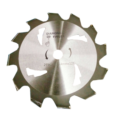 ใบเลื่อยวงเดือน 10