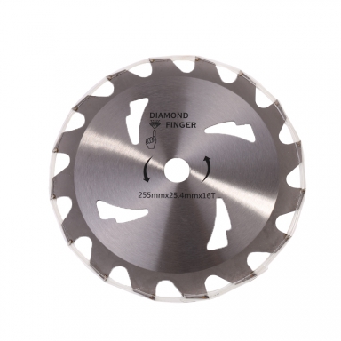 ใบเลื่อยวงเดือน 10