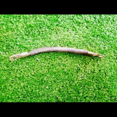 สายเคเบิ้ล500Vตู้เชื่อมMMA-200 แท้