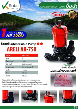 ปั๊มแช่ 2 3 และ 4 นิ้ว อลูมิเนียม รุ่นดูดโคลน Brand ARELI Technology Taiwan