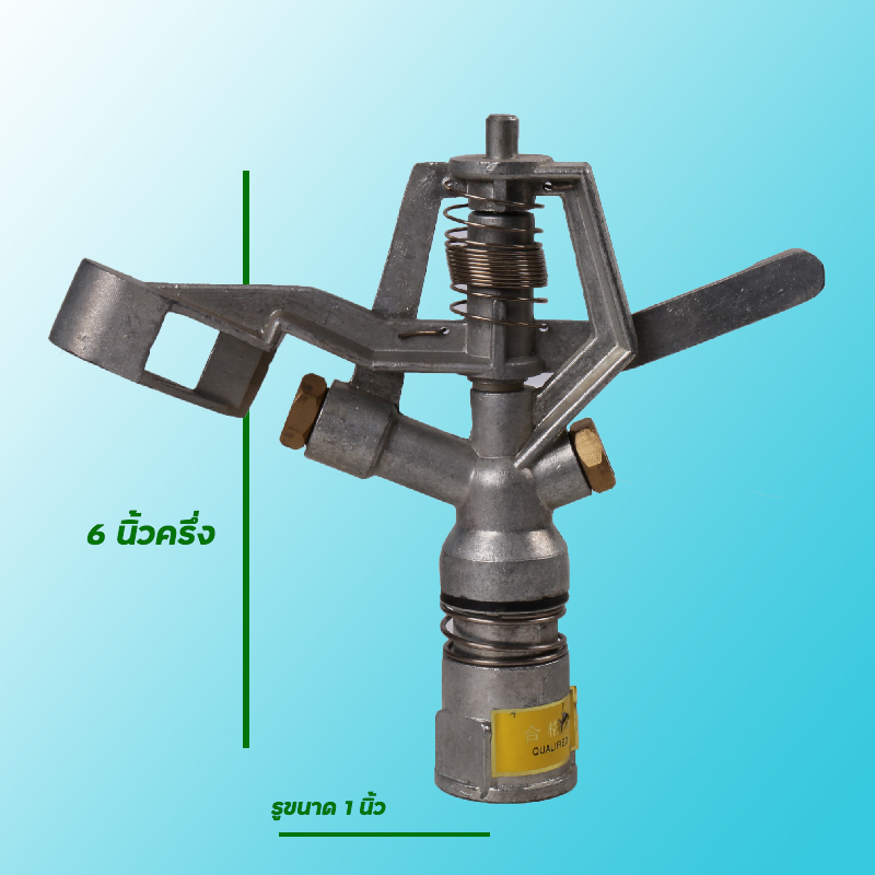 สปริงเกอร์ ตรา มังกร สปริงเกอร์ ตรา มังกร