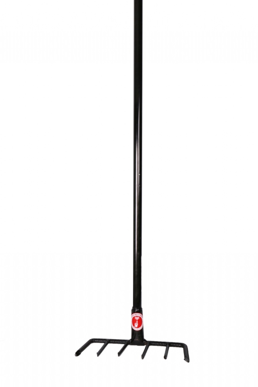 S  57737333 S  57737333