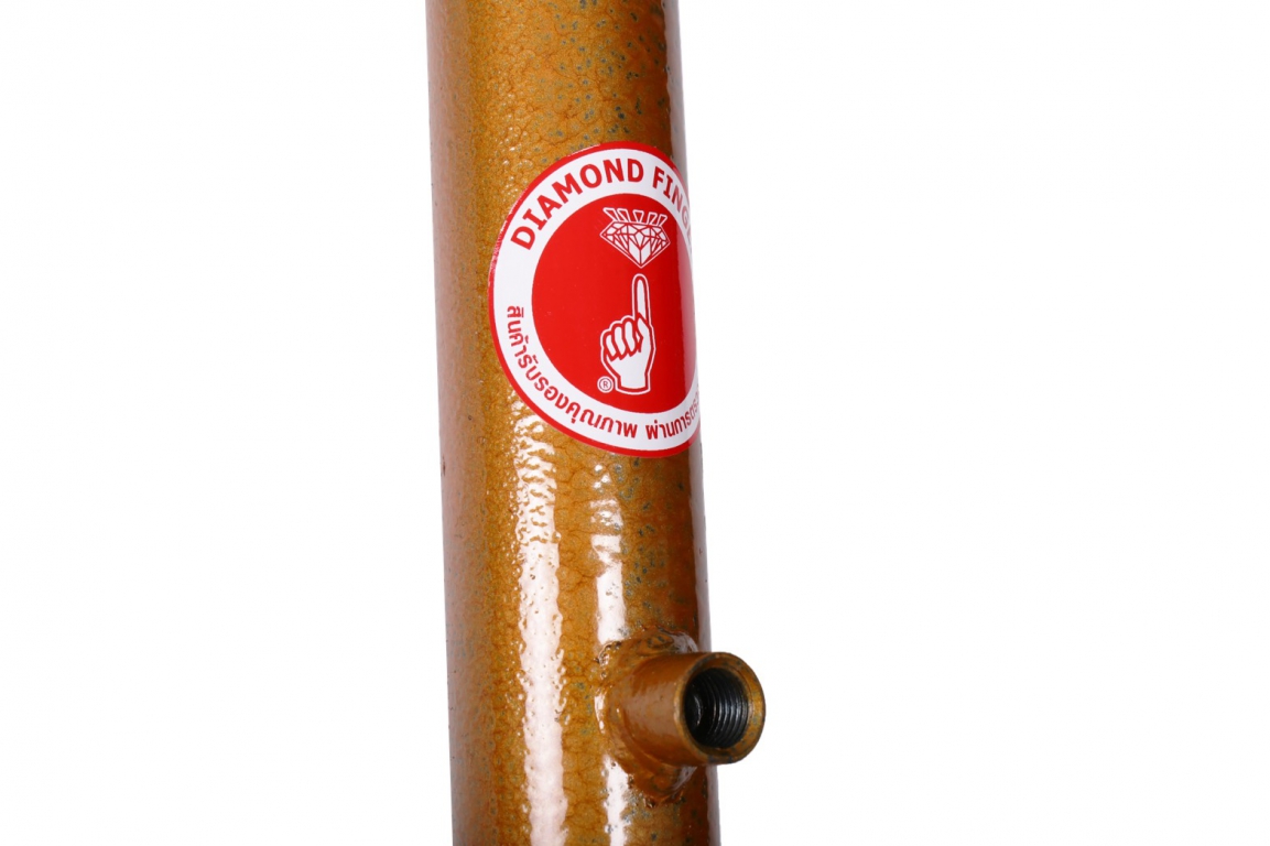 S  57868651 S  57868651