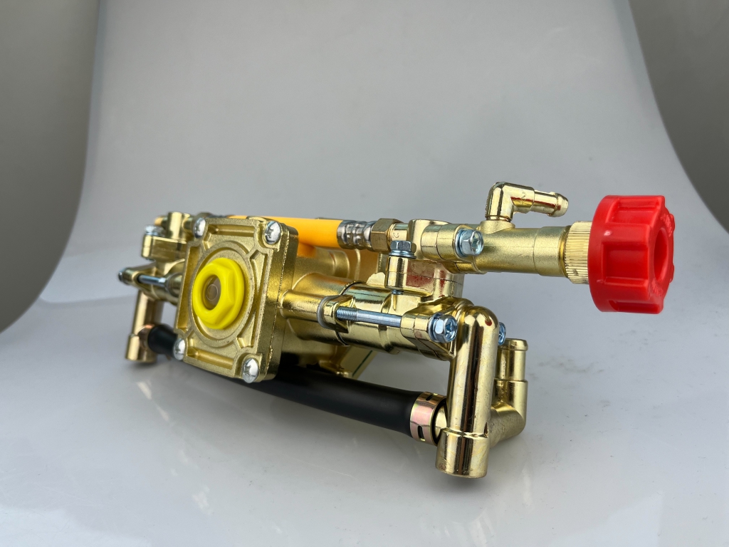 S 80388117 0 S 80388117 0