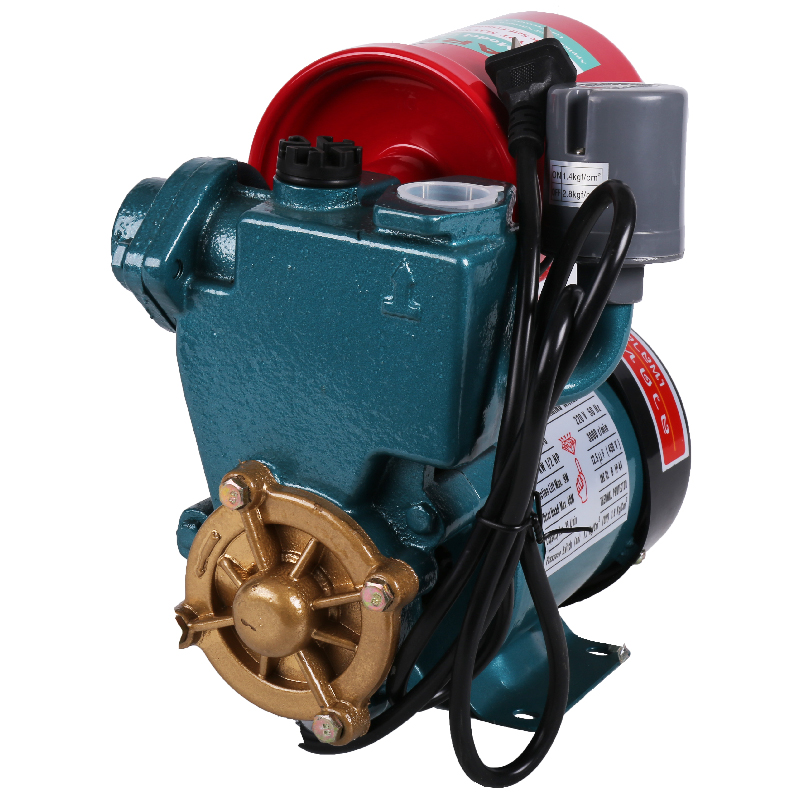 หลัง หลัง