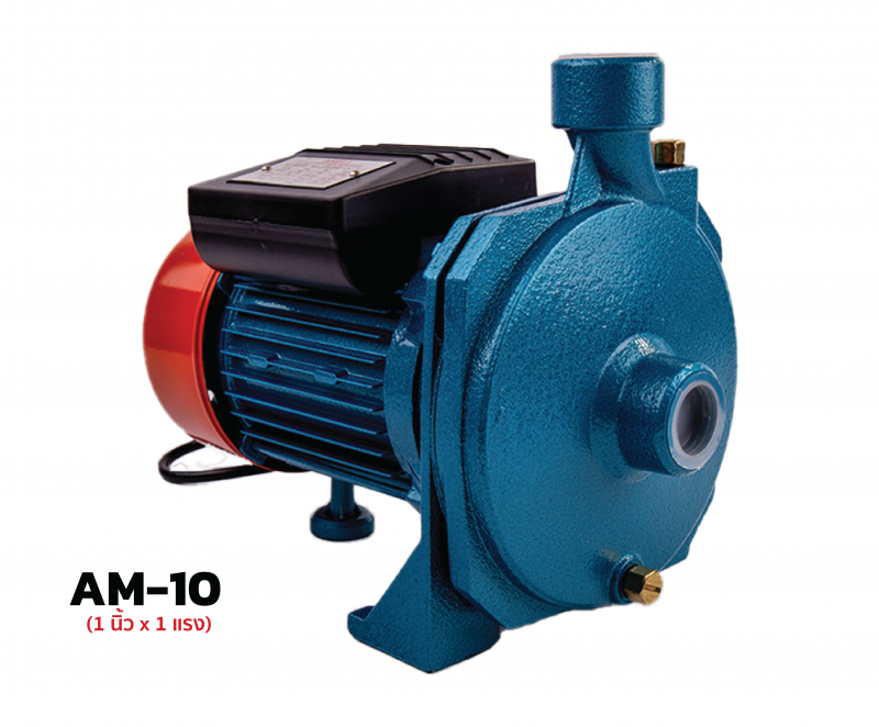 AM 10 01 AM 10 01