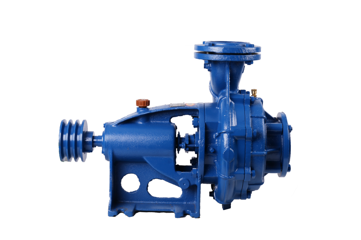 ปั๊มBK 100 2 R ปั๊มBK 100 2 R