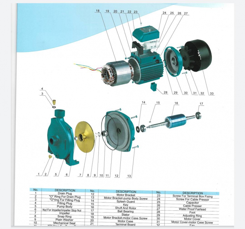 หยวน หยวน