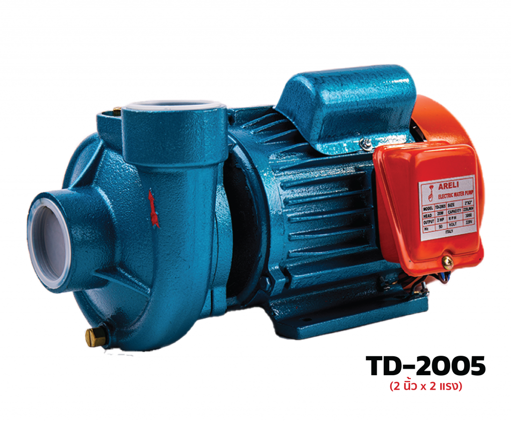 TD 2005 01 TD 2005 01