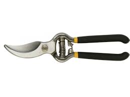 download (42) download (42)